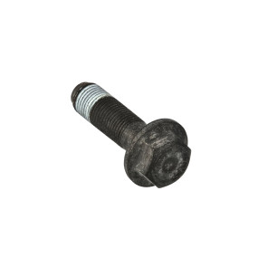 Schraube Case 4779121