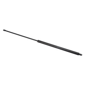 Gasdruckfeder Case 47824482