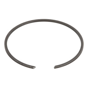 Sprengring Case 48135464