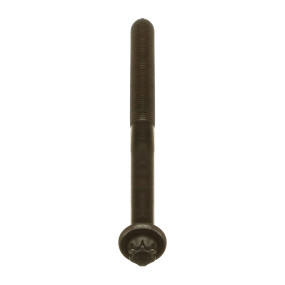 Schraube Case 504081533