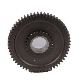 Zahnrad Case 5109733