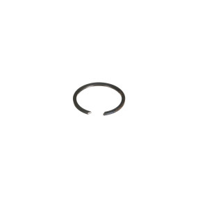 Sprengring Case 5119790