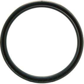 Dichtung Case