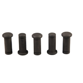 Bolzen Case 5155381
