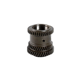 Zahnrad Case 5164789