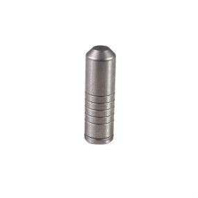 Ventilsegment Case 5166856