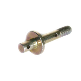 Bolzen Case 5167390