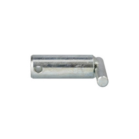 Bolzen Case