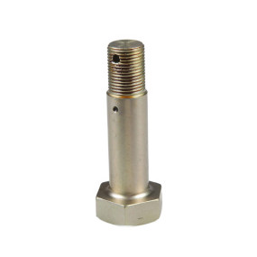Bolzen Case 5175430