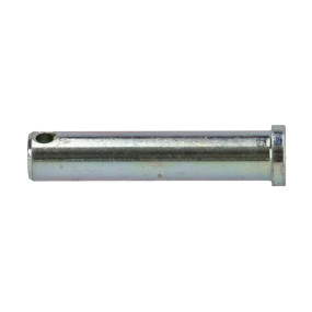 Bolzen Case