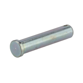 Bolzen Case