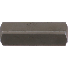 Bolzen Case