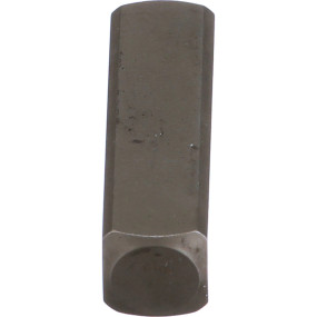 Bolzen Case