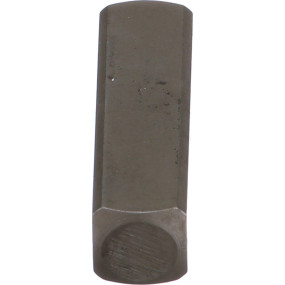 Bolzen Case
