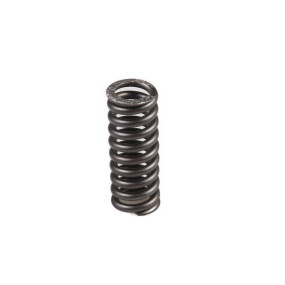 Druckfeder Case 539751R2