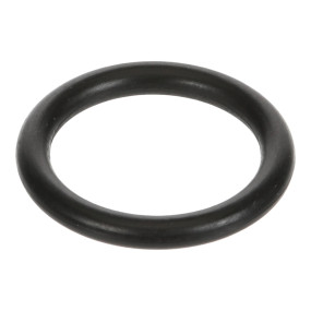 O-Ring Case 704378R1