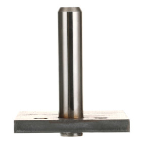 Bolzen Case