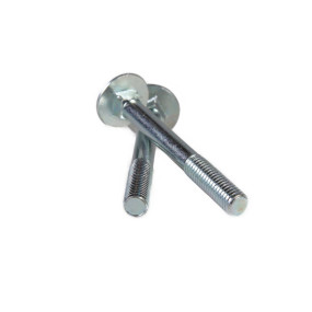 Schraube Case 80300660