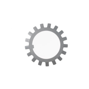 Sicherungsring Case 80410880