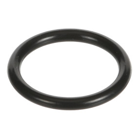 O-Ring Case 82011168