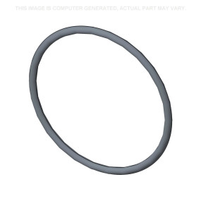 O-Ring Case 82822522