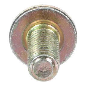 Schraube mit Flansch Case