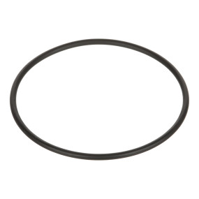 O-Ring Case 84100736