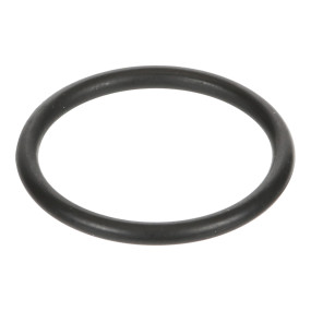O-Ring Case 84152989