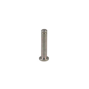 Bolzen Case 84193023