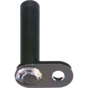 Bolzen Case