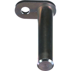 Bolzen Case