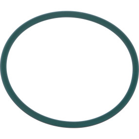 O-Ring Case 84264425