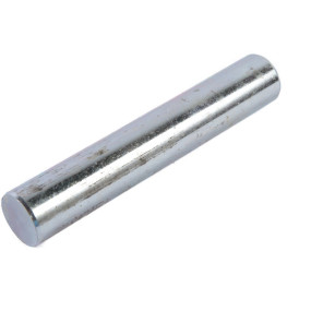 Bolzen Case 84311911