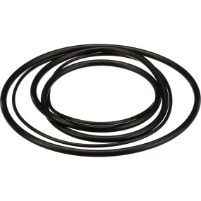 O-Ring Satz Case