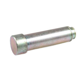 Bolzen Case