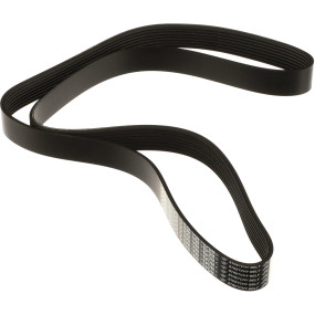Riemen Case