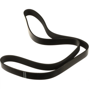 Riemen Case