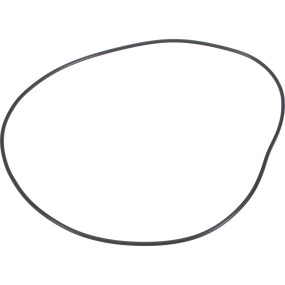 O-Ring Case