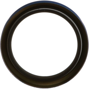 Dichtung Case