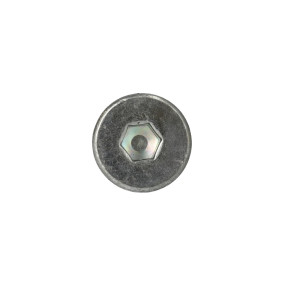 Schraube Case 84597481