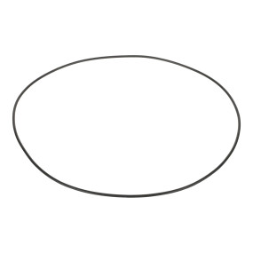 O-Ring Case 86991370
