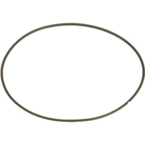 O-Ring Case 87013729