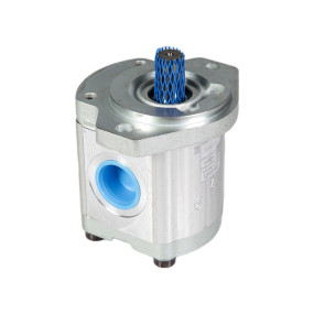 Pumpe Case 87266244