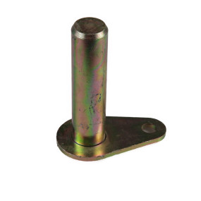 Bolzen Case 87271475