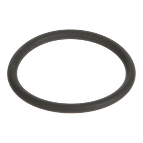 O-Ring Case 87272506