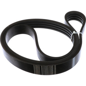 Riemen Case 87332159