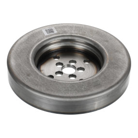 Dämpfer Case 87357611
