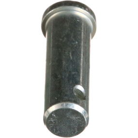 Bolzen Case