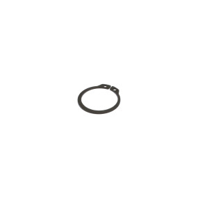 Sprengring Case 87580391