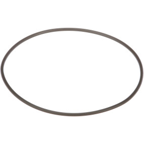 O-Ring Case 87603553